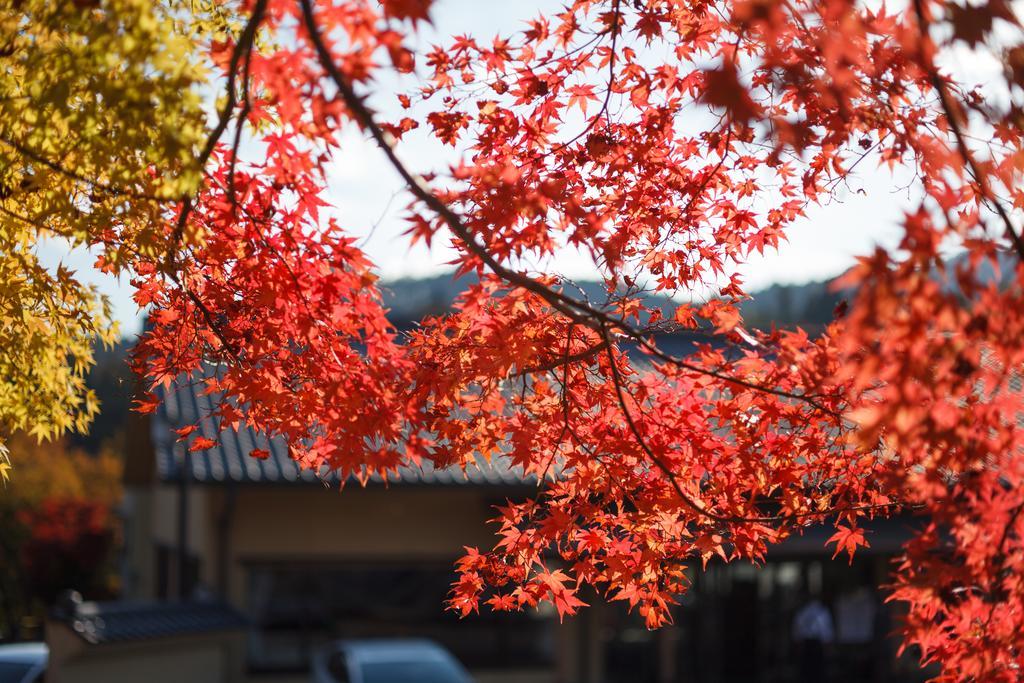 Hotel Okutamaji Ome Exteriér fotografie